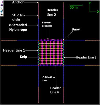 <mark class="highlighted">Engineering design</mark> and economic analysis of offshore seaweed farm